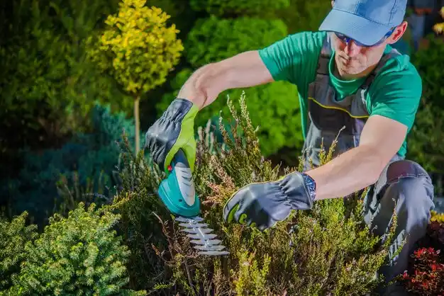 landscaping services Kearney Park